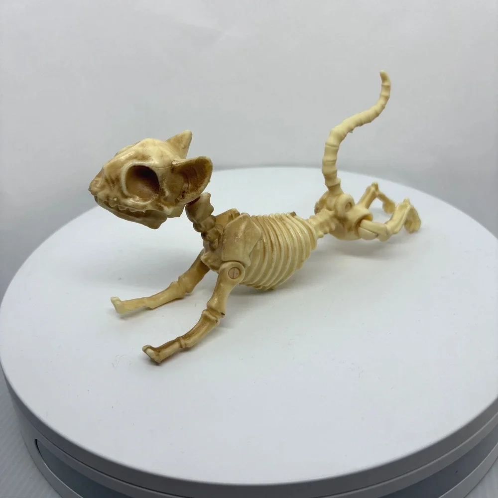 Articulated Cat Skeleton Halloween Figurine Posable Plastic Bone Decor 7 Inch